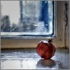 Pomegranate_Still_Life_by_Orzz.jpg