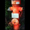 hydrantsmall.jpg